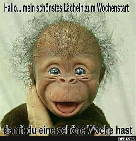 lustiges bild zum lachen|lustige bilder.